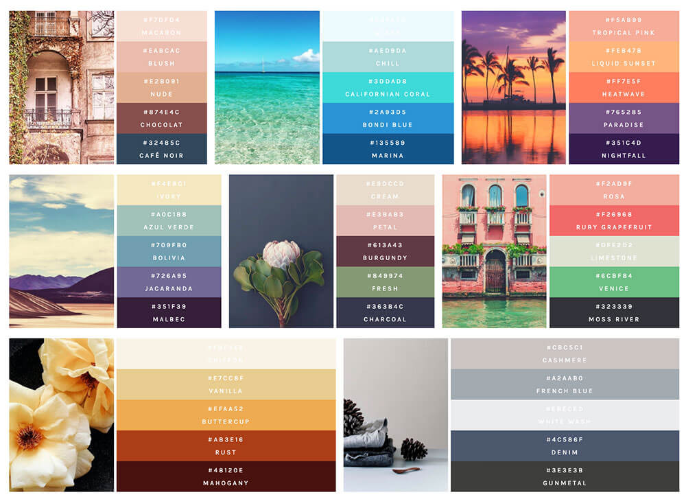 color_palettes_with_flexbox__study_2_-1