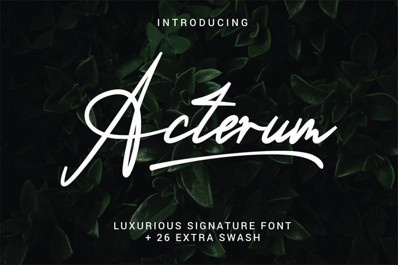 free_acterum_signature_font_with_26_extra_swashes_zularizal_310120_prev1