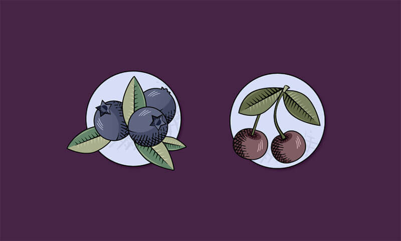 diana_vintage_brush_fruit_tut_image_final-min